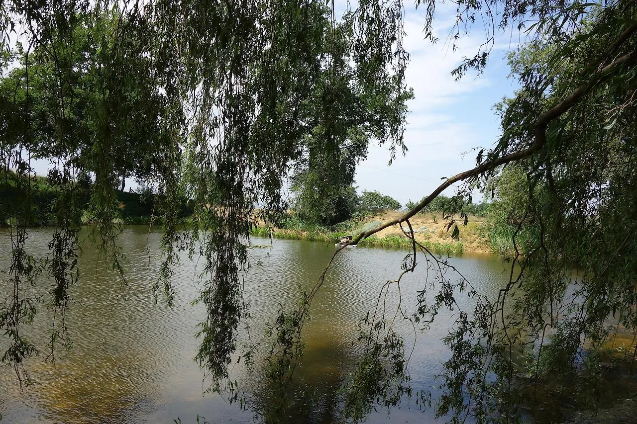 La Ferme Du Bascou Bed & Breakfast Madiere 0*,  France