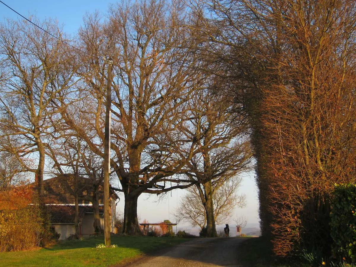 La Ferme Du Bascou Bed & Breakfast Madiere