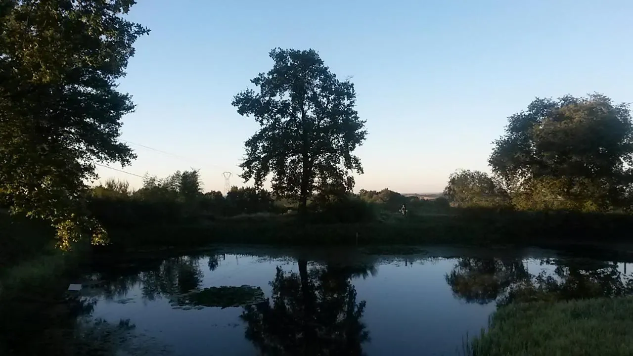 La Ferme Du Bascou Bed & Breakfast Madiere France